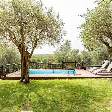 Villa Villacolle Massarosa Bagian luar foto