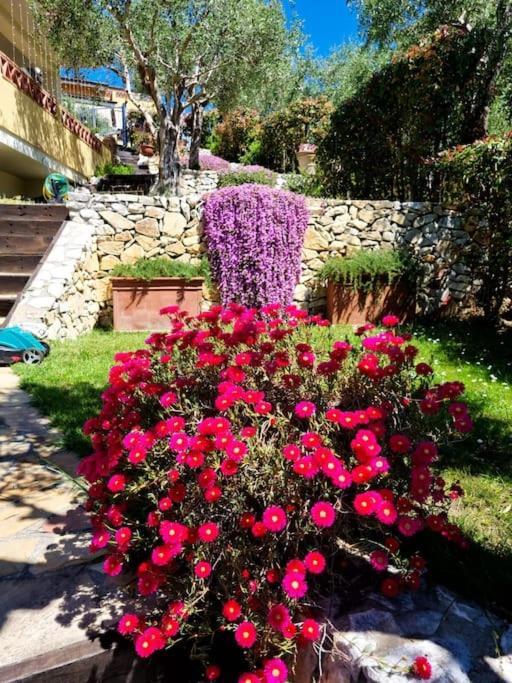 Villa Villacolle Massarosa Bagian luar foto