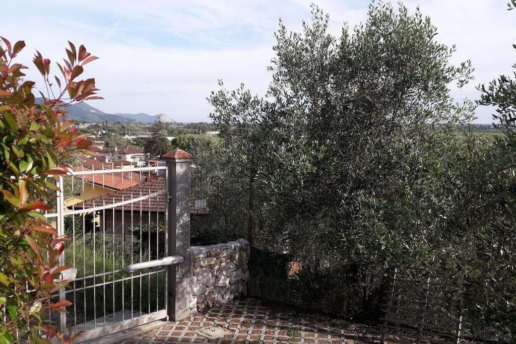 Villa Villacolle Massarosa Bagian luar foto