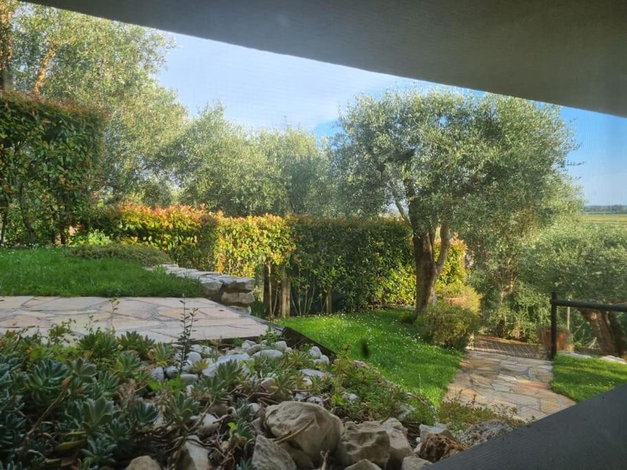 Villa Villacolle Massarosa Bagian luar foto